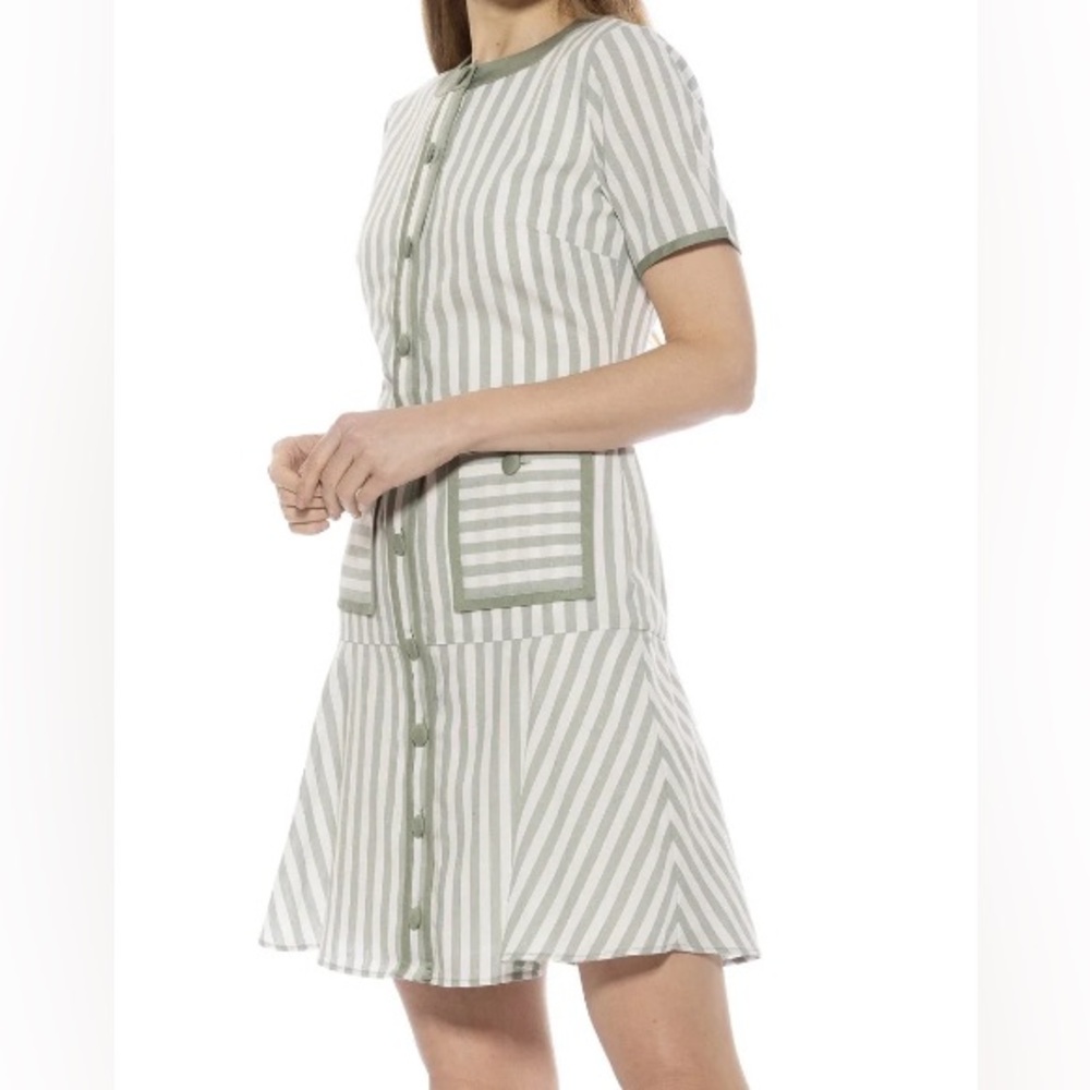 New”ALEXIA ADMOR Brecken Stripes Fit & Flare Dress-Size:12-green pistachio/white